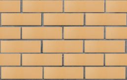 Кирпич лицевой керамический ПУСТОТЕЛЫЙ ПШЕНИЧНЫЙ 1НФ ЛСР