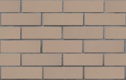 Кирпич лицевой керамический ПУСТОТЕЛЫЙ СЕРЫЙ 1НФ ЛСР