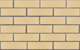 Кирпич лицевой керамический ПУСТОТЕЛЫЙ БЕЖЕВЫЙ 1НФ ЛСР