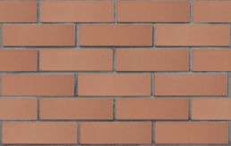 Кирпич лицевой керамический ПУСТОТЕЛЫЙ СВЕТЛО-КОРИЧНЕВЫЙ 1НФ ЛСР