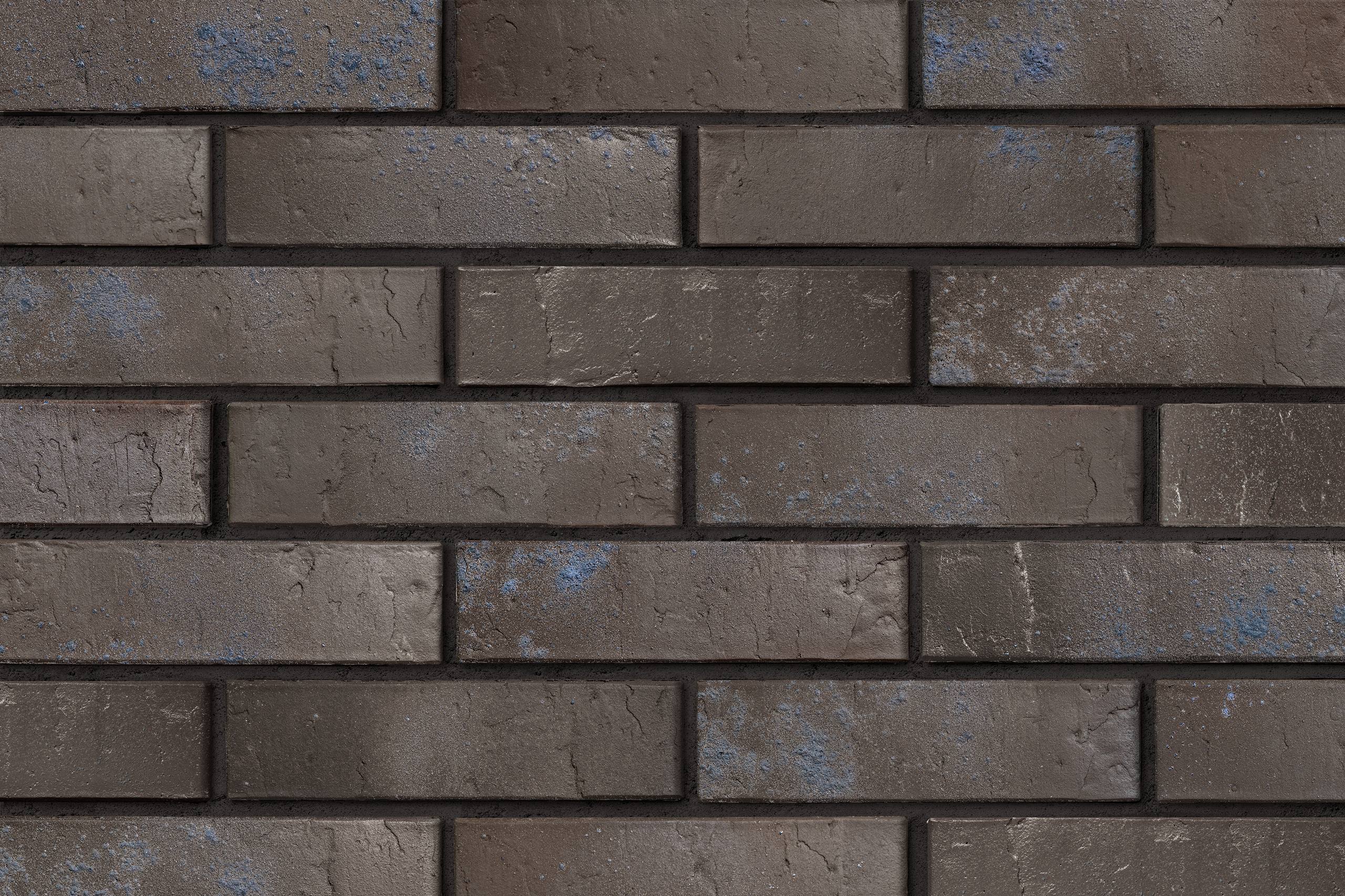 photo-2025-11-19-14-31-52