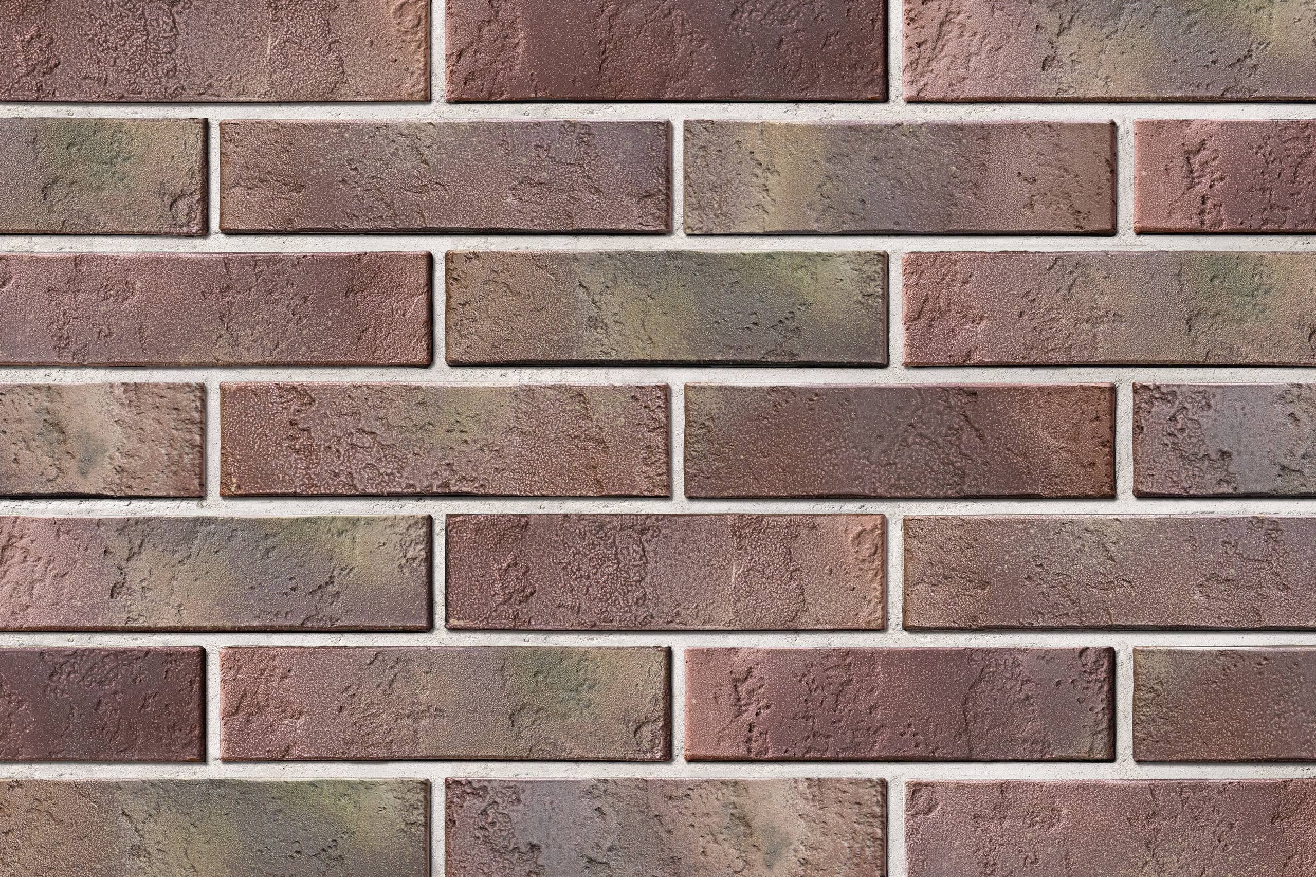 photo-2026-01-28-16-17-41