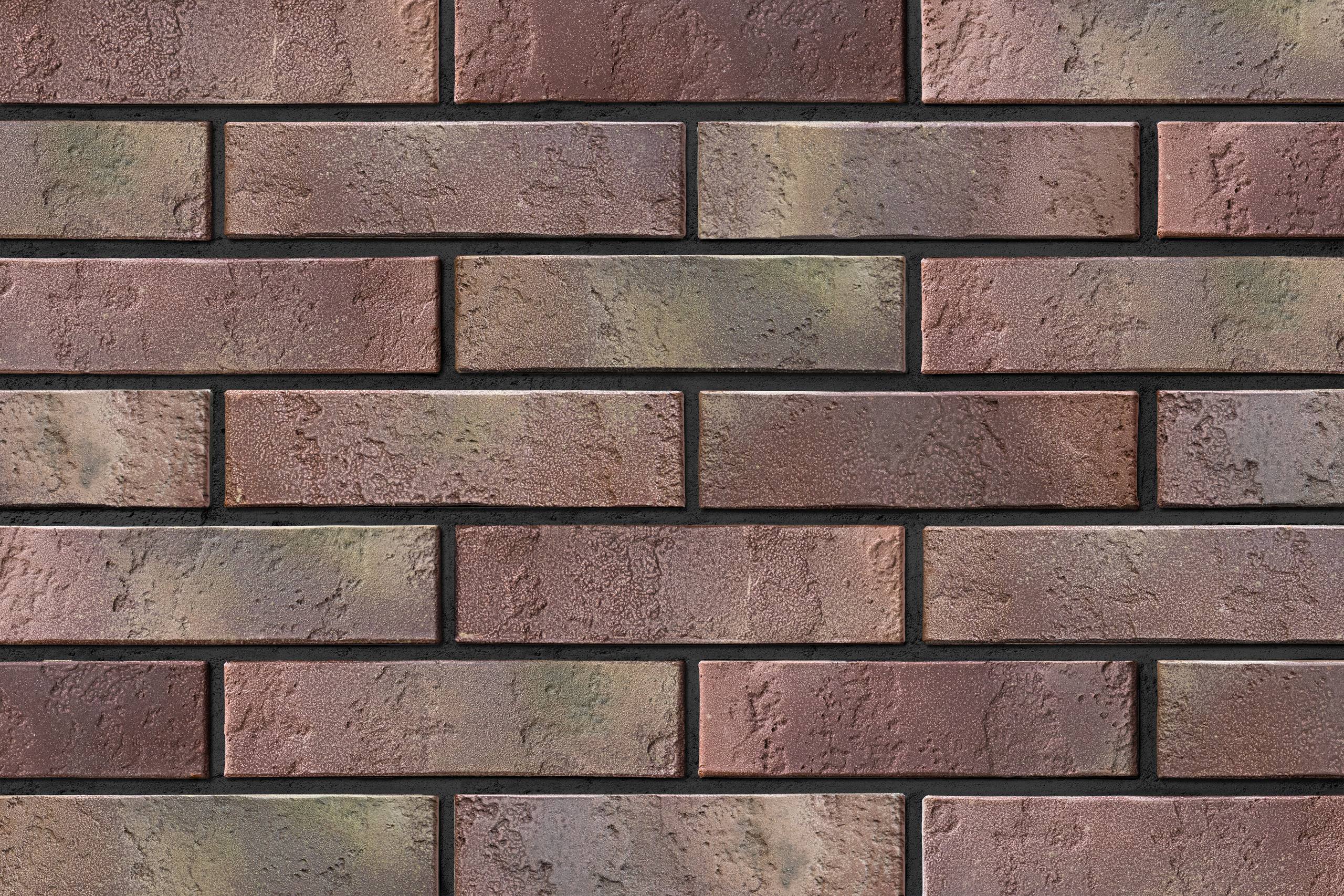 photo-2026-01-28-16-17-50