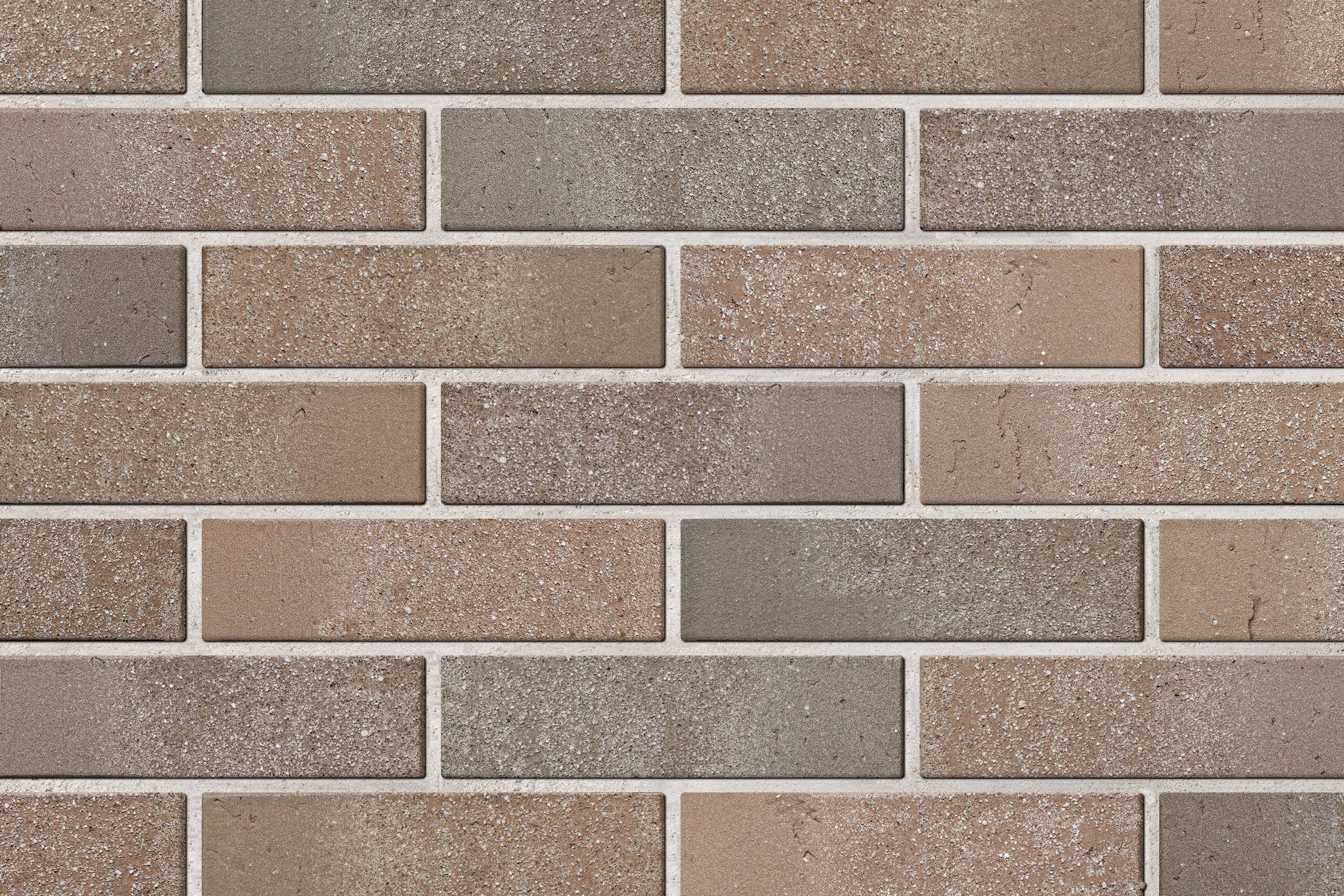 photo-2026-04-10-09-40-24