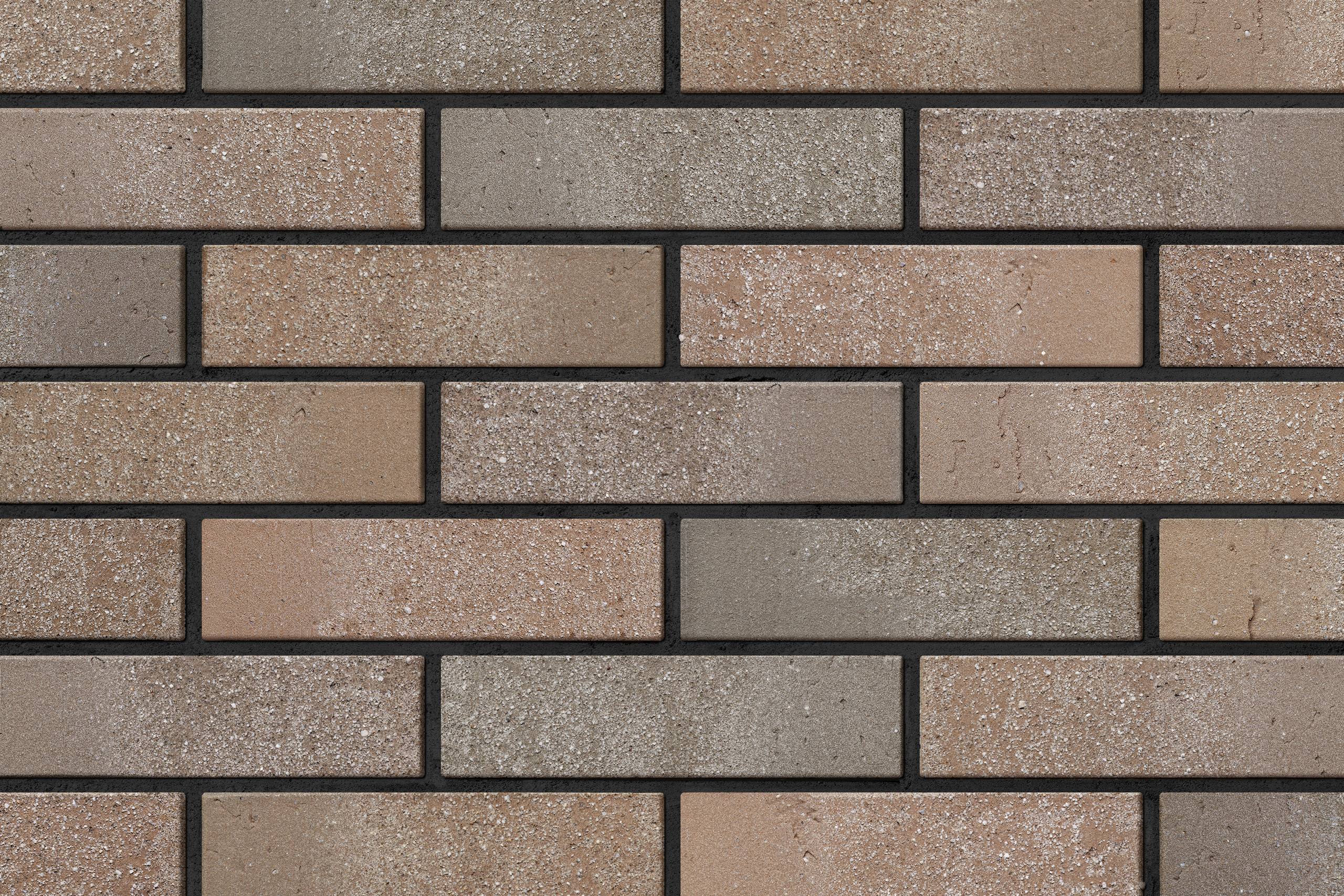 photo-2026-04-10-09-40-25